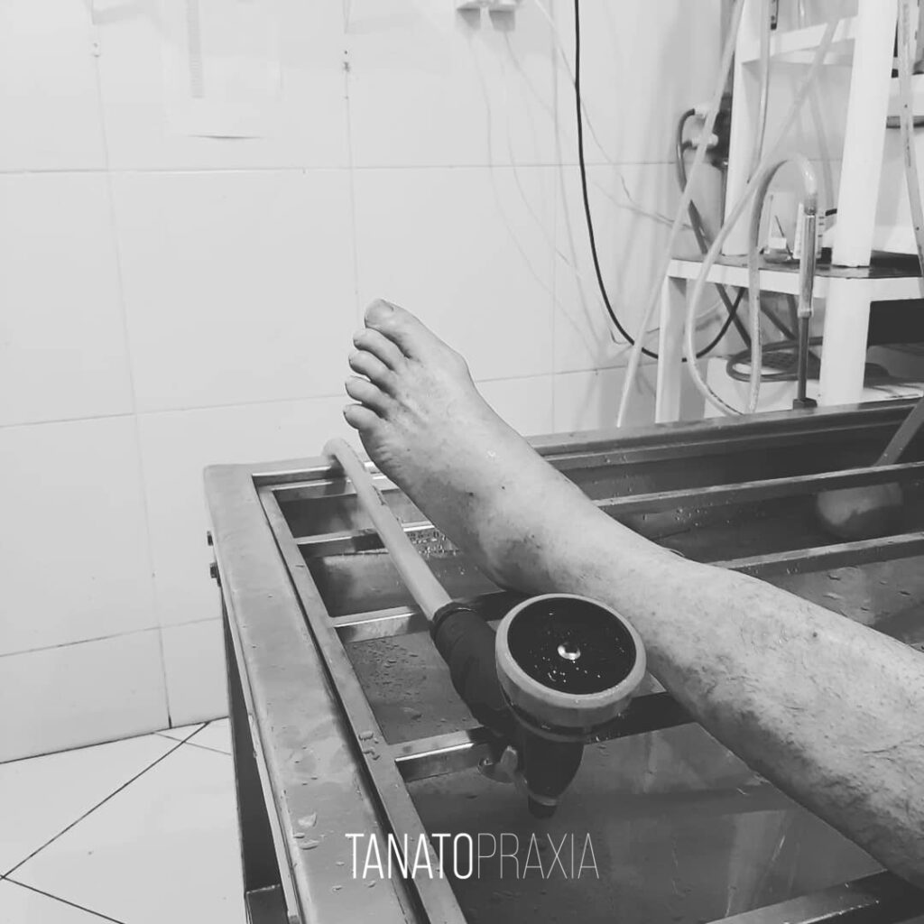 Arquivos tanatopraxiafotos - Curso de Tanatopraxia em Goiânia